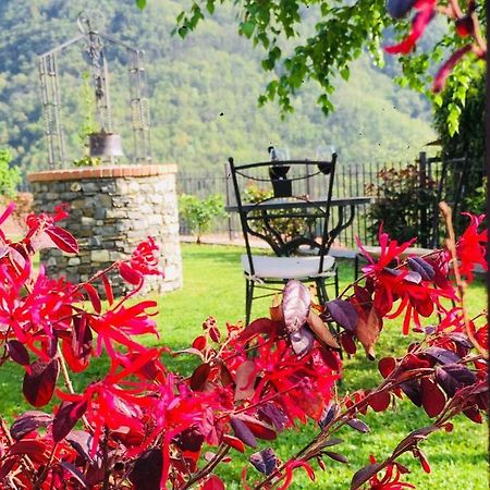 Green House Pieve di Teco Luaran gambar
