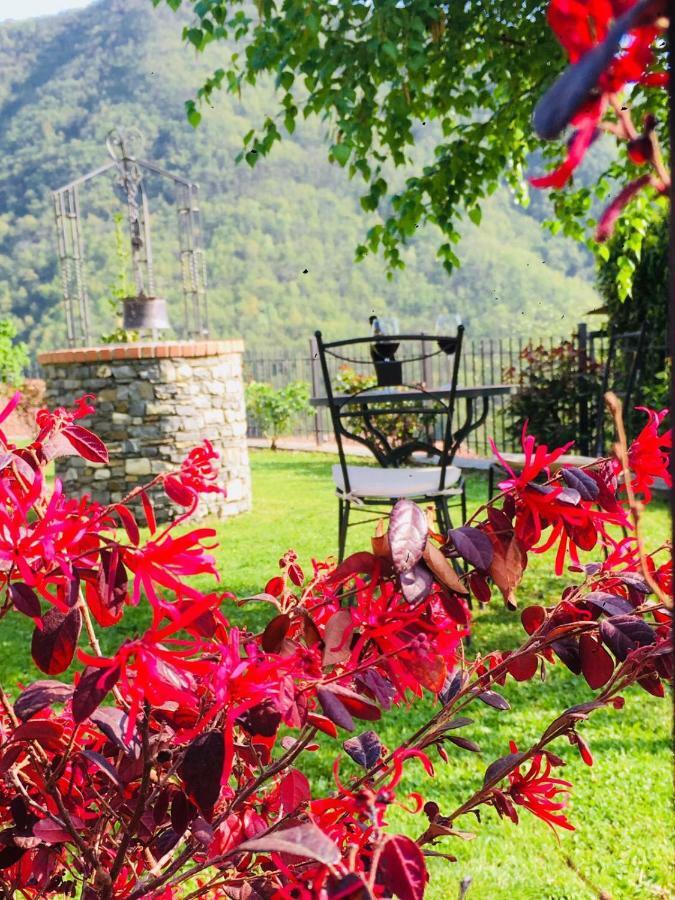 Green House Pieve di Teco Luaran gambar